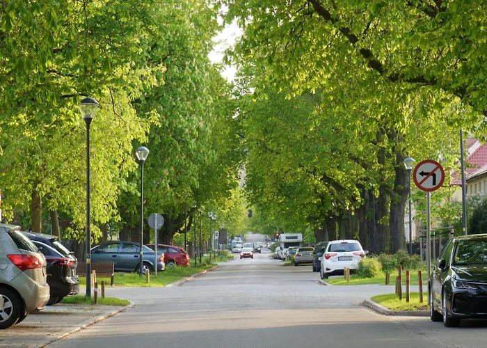 Lägenhet Przytulne Poddasze W Gdansku *